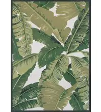 Couristan DOLCE POWER-LOOMED 100% Polypropylene,Synthetic PALM LILY